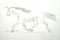 Einhorn-Essenzen/bhp3.jpg (original)