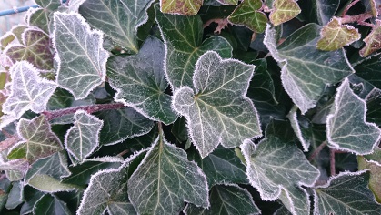 Rauhnächte/rauhnächtehp7.jpg (original)