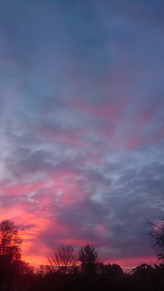 Blog 2025/h25hp07.jpg (original)