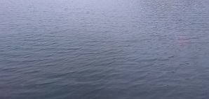 Blog 2025/w25.12hp05.jpg (original) Blog 2025/w25.12hp05.jpg (original)