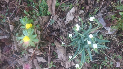 Blog 2026/w26hp07.jpg (original)