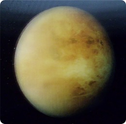 News - Blog/Venus8.jpg (original)
